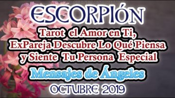 ESCORPIÓN AMOR, QUE PASA, SIENTE TU EX, MENSAJES DE ÁNGELES, HORÓSCOPO ESCORPIÓN.