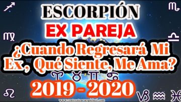 ESCORPIÓN, CUANDO REGRESA, QUE SIENTE, ME AMA, MENSAJES DE ÁNGELES, PREDICCIONES 2020.