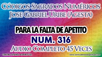 FALTA DE APETITO CODIGOS NUMERICOS SAGRADOS 316.