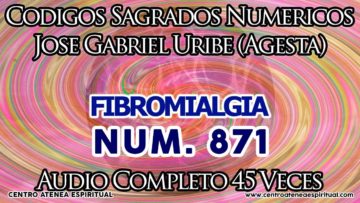 FIBROMIALGIA CODIGOS SAGRADOS 871.