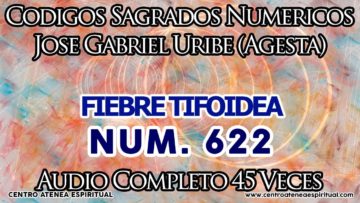 FIEBRE TIFOIDEA CODIGOS SAGRADOS 622.