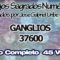 GANGLIOS CODIGOS SAGRADOS NUMERICOS 37600.