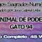 GATO ANIMAL DE PODER CODIGOS SAGRADOS 94.