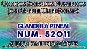 GLANDULA PINEAL CODIGOS SAGRADOS NUMERICOS 52011.