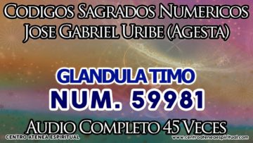 GLANDULA TIMO CODIGOS SAGRADOS NUMERICOS 59981.