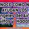 Guía Angelical, Conoce la Ayuda de Ángeles del Aire, Silfos, Hadas, predicciones, horóscopo.