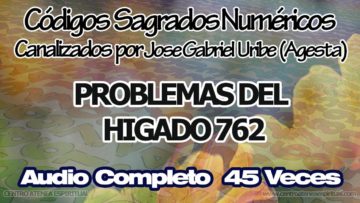 HIGADO CODIGOS SAGRADOS NUMERICOS 762.