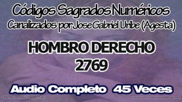 HOMBRO DERECHO CODIGOS SAGRADOS NUMERICOS 2769.