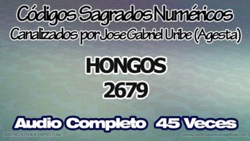 HONGOS CODIGOS SAGRADOS NUMERICOS 2679.