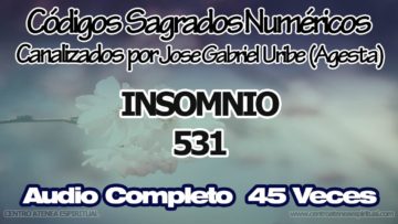 INSOMNIO CODIGOS SAGRADOS NUMERICOS 531.