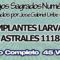 LARVAS ASTRALES IMPLANTES CODIGOS SAGRADOS NUMERICOS 1118.