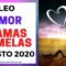 LEO AMOR, LLAMAS GEMELAS.