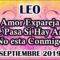 LEO AMOR, ME AMA, QUE SIENTE, REGRESA, GUÍA ANGELICAL MENSAJES, PREDICCIONES LEO.