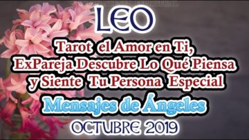 LEO AMOR, QUE PASA, SIENTE TU EX, MENSAJES DE ÁNGELES, HORÓSCOPO LEO.