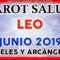 LEO JUNIO 2019, TAROT DE SALUD, MENSAJES DE ARCÁNGELES, MENSAJES DE ÁNGELES ♌♥✨ ?