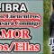 LIBRA JULIO 2019, PAREJAS, EX PAREJAS, PREDICCIONES JULIO 2019, GUÍA ANGELICAL, TAROT AMOR.