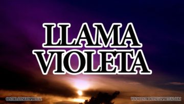 LLAMA VIOLETA CINCO MANERAS USARLA.