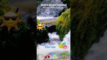 Meditar, Relación, Agua, Vivir Plenamente, Conexión a Tierra