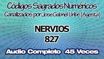 NERVIOS CODIGOS SAGRADOS NUMERICOS 827.