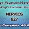 NERVIOS CODIGOS SAGRADOS NUMERICOS 827.