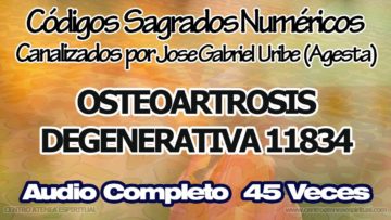 OSTEOARTROSIS DEGENERATIVA CODIGOS SAGRADOS NUMERICOS 11834.