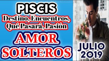 PISCIS AMOR JULIO 2019, TAROT JULIO 2019, SOLTEROS, ÁNGELES AMOR  ♓♥✨ ?