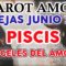 PISCIS AMOR JUNIO 2019, TAROT AMOR, PAREJAS, ANGELES DEL AMOR  ?✨ ♥ ♓