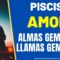 PISCIS AMOR,  LLAMAS GEMELAS, ALMAS GEMELAS.