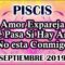 PISCIS AMOR, ME AMA, QUE SIENTE, REGRESA, GUÍA ANGELICAL MENSAJES, PREDICCIONES PISCIS.