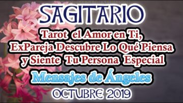 SAGITARIO AMOR, QUE PASA, SIENTE TU EX, MENSAJES DE ÁNGELES, HORÓSCOPO SAGITARIO.