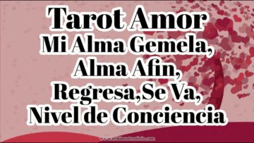 TAROT AMOR, ALMAS GEMELAS, TAROT 2019, EX PAREJAS, QUÉ HACE, NIVEL DE CONCIENCIA MAYO 2019 ?✨ ♥