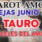 TAURO AMOR JUNIO 2019, TAROT AMOR, PAREJAS, ANGELES DEL AMOR ?✨ ♥ ♉