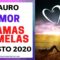 TAURO AMOR, LLAMAS GEMELAS.