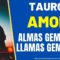 TAURO AMOR,  LLAMAS GEMELAS, ALMAS GEMELAS.