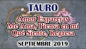 TAURO AMOR, QUE PASA, ME AMA, PIENSA, ÁNGELES AMOR, PREDICCIONES TAURO.