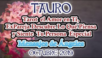 TAURO AMOR, QUE PASA, SIENTE TU EX, MENSAJES DE ÁNGELES, HORÓSCOPO TAURO.