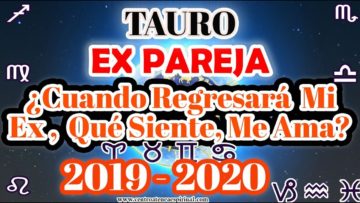 TAURO, CUANDO REGRESA, QUE SIENTE, ME AMA, MENSAJES DE ÁNGELES, PREDICCIONES 2020.