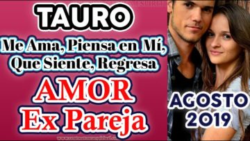 TAURO EX PAREJA AGOSTO 2019, TAROT AMOR QUE PIENSA, QUE SIENTE, AUN ME AMA, REGRESA, ÁNGELES AMOR.