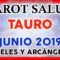 TAURO JUNIO 2019, TAROT DE SALUD, MENSAJES DE ARCÁNGELES, MENSAJES DE ÁNGELES ♉♥✨ ?