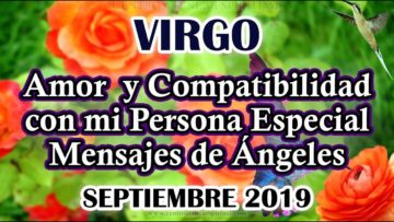 VIRGO AMOR, COMPATIBILIDAD CON MI PERSONA ESPECIAL, MENSAJES DE ÁNGELES, HORÓSCOPO VIRGO.